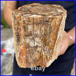 5.2lb Rare Natural petrified wood rough Wood fossil mineral specimen healing 5.2lb Rare Natural petrified wood rough Wood fossil mineral specimen healing