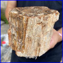 5.2lb Rare Natural petrified wood rough Wood fossil mineral specimen healing 5.2lb Rare Natural petrified wood rough Wood fossil mineral specimen healing