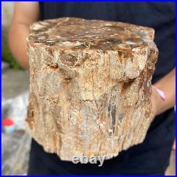 5.2lb Rare Natural petrified wood rough Wood fossil mineral specimen healing 5.2lb Rare Natural petrified wood rough Wood fossil mineral specimen healing