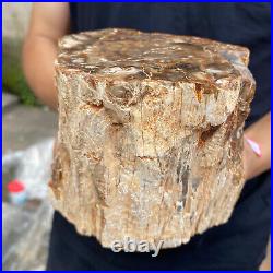 5.2lb Rare Natural petrified wood rough Wood fossil mineral specimen healing 5.2lb Rare Natural petrified wood rough Wood fossil mineral specimen healing