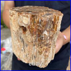 5.2lb Rare Natural petrified wood rough Wood fossil mineral specimen healing 5.2lb Rare Natural petrified wood rough Wood fossil mineral specimen healing