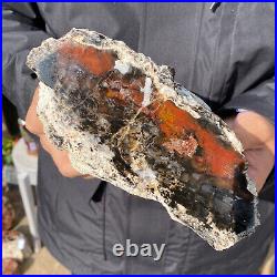 5.3LB Rare Natural petrified wood rough Wood fossil mineral specimen healing
