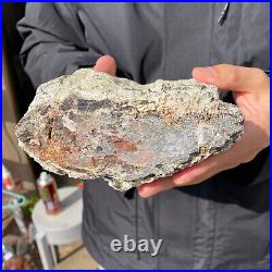 5.3LB Rare Natural petrified wood rough Wood fossil mineral specimen healing