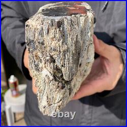 5.3LB Rare Natural petrified wood rough Wood fossil mineral specimen healing