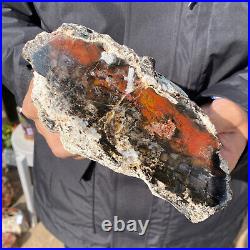 5.3LB Rare Natural petrified wood rough Wood fossil mineral specimen healing