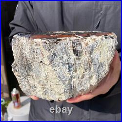 5.3LB Rare Natural petrified wood rough Wood fossil mineral specimen healing
