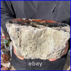 5.3LB Rare Natural petrified wood rough Wood fossil mineral specimen healing