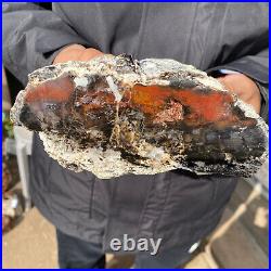 5.3LB Rare Natural petrified wood rough Wood fossil mineral specimen healing