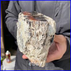 5.3LB Rare Natural petrified wood rough Wood fossil mineral specimen healing