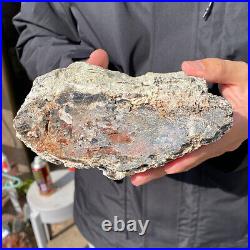 5.3LB Rare Natural petrified wood rough Wood fossil mineral specimen healing