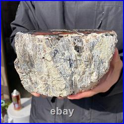 5.3LB Rare Natural petrified wood rough Wood fossil mineral specimen healing