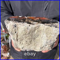 5.3LB Rare Natural petrified wood rough Wood fossil mineral specimen healing