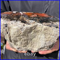 5.3LB Rare Natural petrified wood rough Wood fossil mineral specimen healing