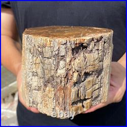 5.3lb Rare Natural petrified wood rough Wood fossil mineral specimen healing 5.3lb Rare Natural petrified wood rough Wood fossil mineral specimen healing
