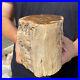 5_3lb_Rare_Natural_petrified_wood_rough_Wood_fossil_mineral_specimen_healing_01_tc