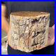 5_3lb_Rare_Natural_petrified_wood_rough_Wood_fossil_mineral_specimen_healing_01_un