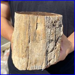 5.3lb Rare Natural petrified wood rough Wood fossil mineral specimen healing 5.3lb Rare Natural petrified wood rough Wood fossil mineral specimen healing