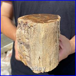 5.3lb Rare Natural petrified wood rough Wood fossil mineral specimen healing 5.3lb Rare Natural petrified wood rough Wood fossil mineral specimen healing
