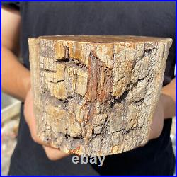 5.3lb Rare Natural petrified wood rough Wood fossil mineral specimen healing 5.3lb Rare Natural petrified wood rough Wood fossil mineral specimen healing