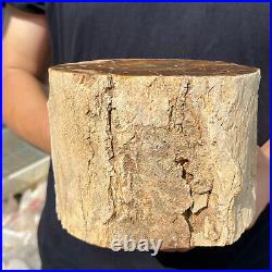 5.3lb Rare Natural petrified wood rough Wood fossil mineral specimen healing 5.3lb Rare Natural petrified wood rough Wood fossil mineral specimen healing
