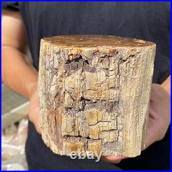 5.3lb Rare Natural petrified wood rough Wood fossil mineral specimen healing 5.3lb Rare Natural petrified wood rough Wood fossil mineral specimen healing