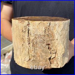 5.3lb Rare Natural petrified wood rough Wood fossil mineral specimen healing 5.3lb Rare Natural petrified wood rough Wood fossil mineral specimen healing
