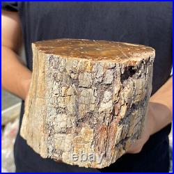 5.3lb Rare Natural petrified wood rough Wood fossil mineral specimen healing 5.3lb Rare Natural petrified wood rough Wood fossil mineral specimen healing