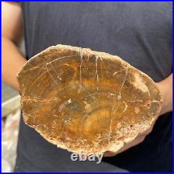 5.3lb Rare Natural petrified wood rough Wood fossil mineral specimen healing 5.3lb Rare Natural petrified wood rough Wood fossil mineral specimen healing