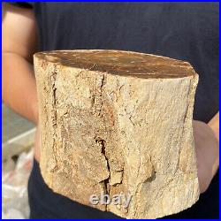 5.3lb Rare Natural petrified wood rough Wood fossil mineral specimen healing 5.3lb Rare Natural petrified wood rough Wood fossil mineral specimen healing