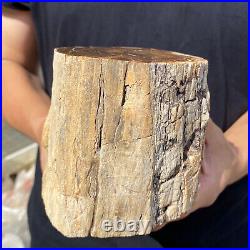 5.3lb Rare Natural petrified wood rough Wood fossil mineral specimen healing 5.3lb Rare Natural petrified wood rough Wood fossil mineral specimen healing