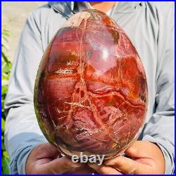 5.40kg Large Natural Red Petrified Wood Fossil Crystal Egg Specimen