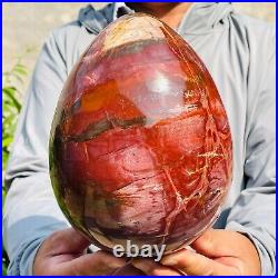 5.40kg Large Natural Red Petrified Wood Fossil Crystal Egg Specimen