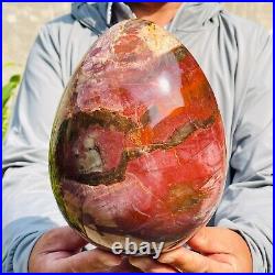 5.40kg Large Natural Red Petrified Wood Fossil Crystal Egg Specimen