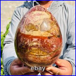 5.40kg Large Natural Red Petrified Wood Fossil Crystal Egg Specimen