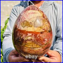 5.40kg Large Natural Red Petrified Wood Fossil Crystal Egg Specimen