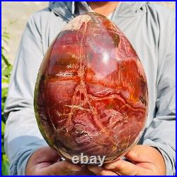 5.40kg Large Natural Red Petrified Wood Fossil Crystal Egg Specimen