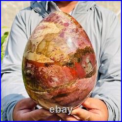 5.40kg Large Natural Red Petrified Wood Fossil Crystal Egg Specimen