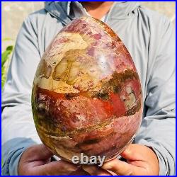 5.40kg Large Natural Red Petrified Wood Fossil Crystal Egg Specimen