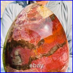 5.40kg Large Natural Red Petrified Wood Fossil Crystal Egg Specimen