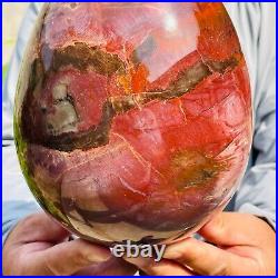 5.40kg Large Natural Red Petrified Wood Fossil Crystal Egg Specimen