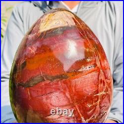 5.40kg Large Natural Red Petrified Wood Fossil Crystal Egg Specimen