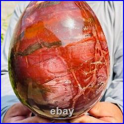 5.40kg Large Natural Red Petrified Wood Fossil Crystal Egg Specimen