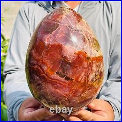 5.40kg Large Natural Red Petrified Wood Fossil Crystal Egg Specimen