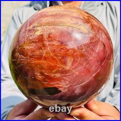 5.40kg Large Natural Red Petrified Wood Fossil Crystal Egg Specimen