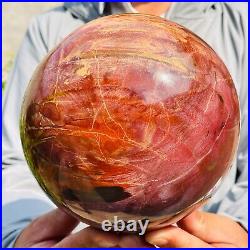 5.40kg Large Natural Red Petrified Wood Fossil Crystal Egg Specimen