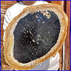 5.4LB Large Natural Petrified Wood Crystal Fossil Slice Shape Healing Specimen