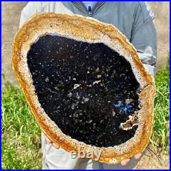 5.4LB Large Natural Petrified Wood Crystal Fossil Slice Shape Specimen Healing
