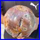 5_4LB_Natural_Petrified_Wood_Crystal_Ball_Fossil_Polished_Sphere_Specimen_01_rmgk