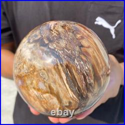 5.4lb Natural Petrified Wood Crystal Ball Fossil Polished Sphere Specimen