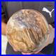 5_4lb_Natural_Petrified_Wood_Crystal_Ball_Fossil_Polished_Sphere_Specimen_01_qjv